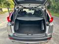 Honda CR-V CR-V 1.5  i-VTEC 4WD CVT Executive Gris - thumbnail 12