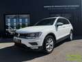 Volkswagen Tiguan 2.0 TDI 150ch Confortline Business 4Motion DSG7 Weiß - thumbnail 1