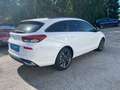 Hyundai i30 Kombi  Go Plus *TOP - AUSSTATTUNG* Weiß - thumbnail 5