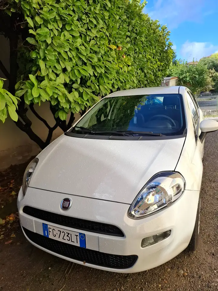 Fiat Punto Evo