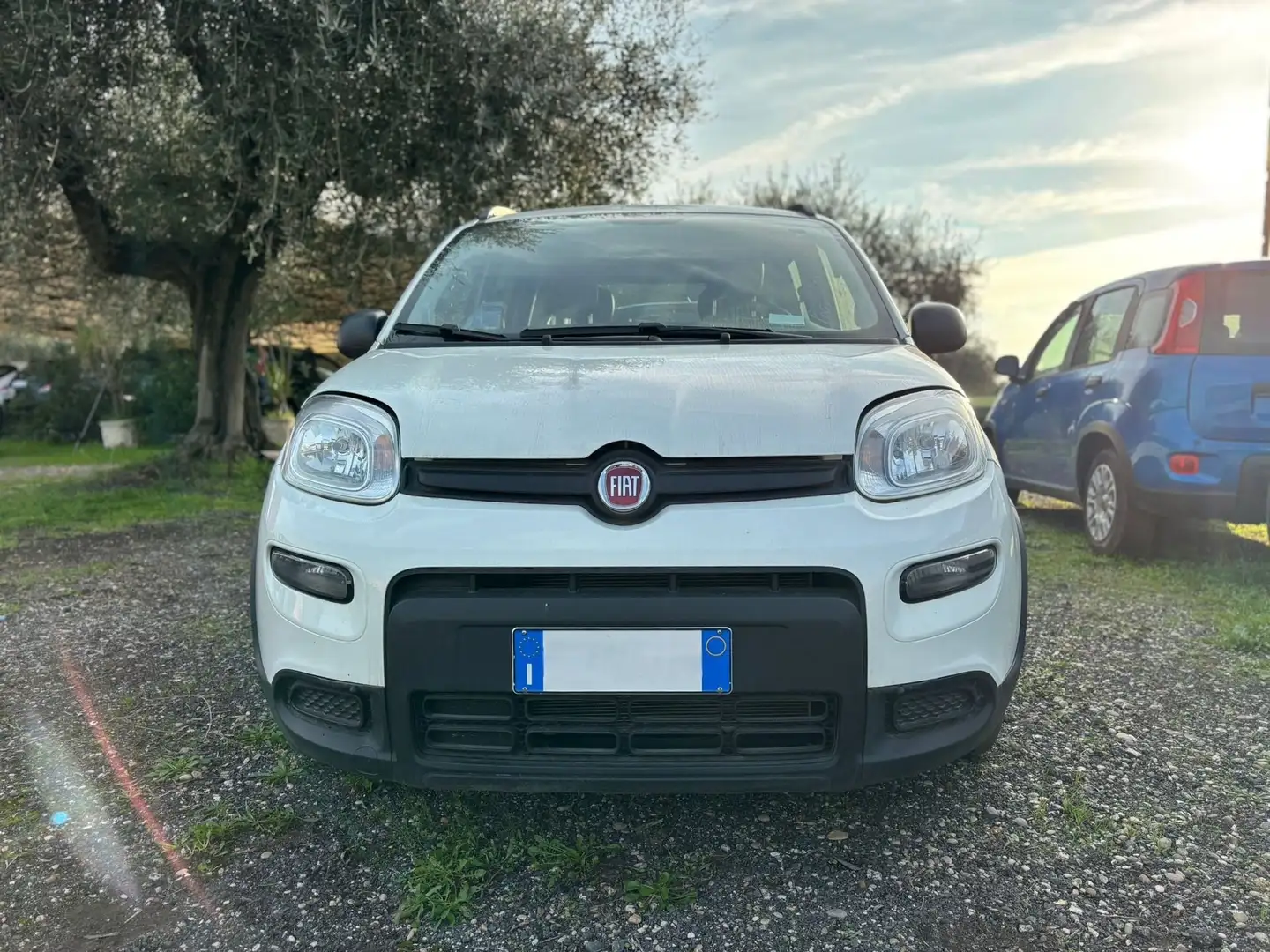 Fiat Panda Panda 1.0 firefly hybrid City Life s Bianco - 1