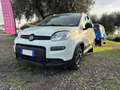 Fiat Panda Panda 1.0 firefly hybrid City Life s Bianco - thumbnail 2