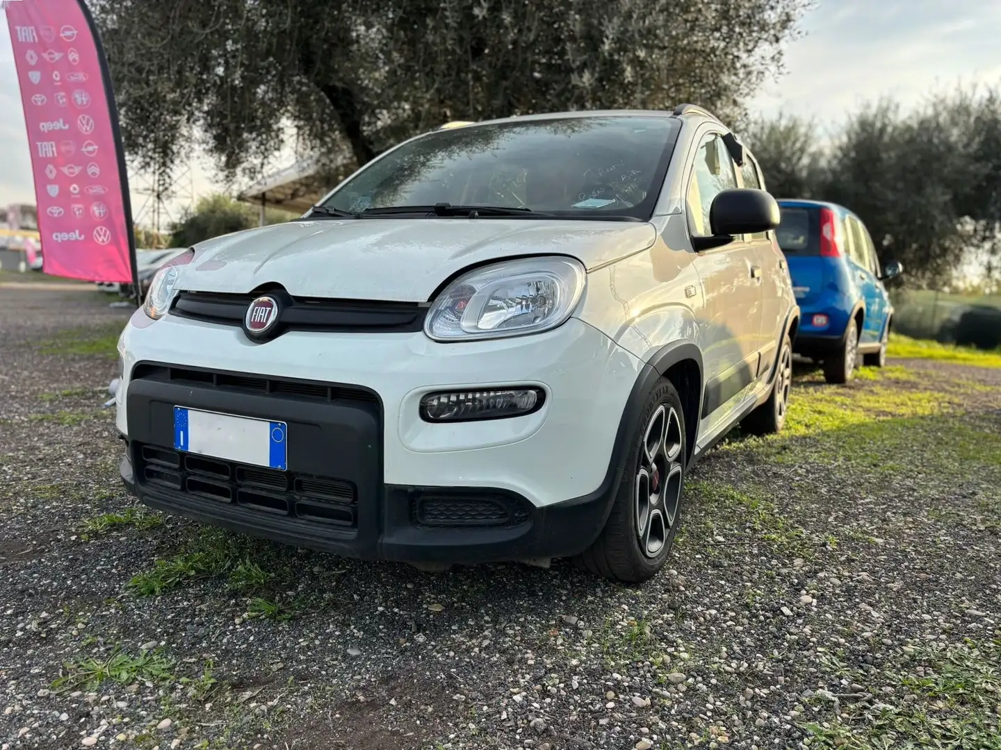 Fiat Panda Panda 1.0 firefly hybrid City Life s Bianco - 2