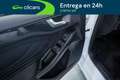 Ford Focus 1.0 Ecoboost MHEV ST-Line X 125 Blanco - thumbnail 18