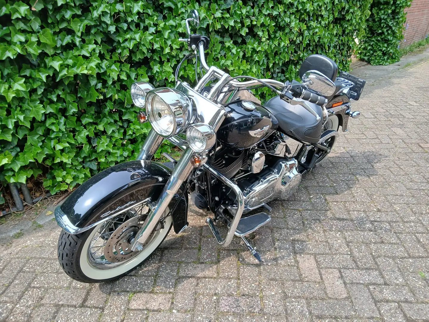 Harley-Davidson Deluxe 103 Softail de Luxe Org NL 5HD Fekete - 2