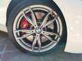 BMW 135 M135i MANUALE_LSD_FRENI MPERF_S55 OILING SYSTEM Bianco - thumbnail 5