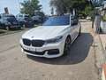 BMW 730 Serie 7 G/11-12 2015 730d xdrive M auto Bianco - thumbnail 7