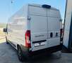Fiat Ducato Bianco - thumbnail 4