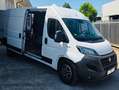 Fiat Ducato Bianco - thumbnail 1