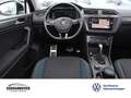 Volkswagen Tiguan IQ.DRIVE 2.0 TDI DSG 4Motion AHK+NAVI+LED Blauw - thumbnail 14