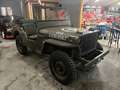 Oldtimer Willys MB ww2 Grün - thumbnail 3
