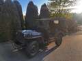 Oldtimer Willys MB ww2 Grün - thumbnail 6