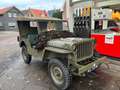 Oldtimer Willys MB ww2 Grün - thumbnail 7