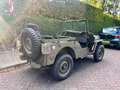 Oldtimer Willys MB ww2 Grün - thumbnail 5