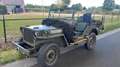 Oldtimer Willys MB ww2 Grün - thumbnail 4