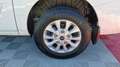 Ford Transit Custom CABINE APPROFONDIE L1H1 2.0 ecoblue 130 limited Blanc - thumbnail 11