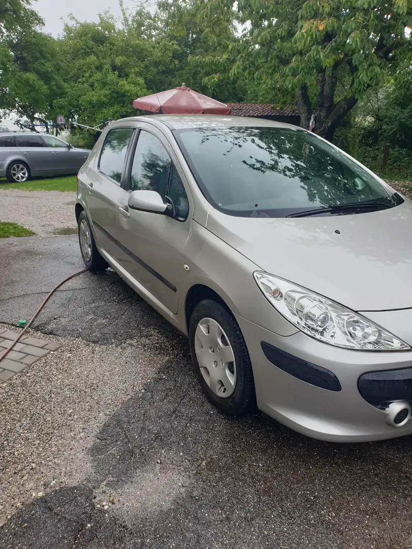 Peugeot 307 110 Premium - 2
