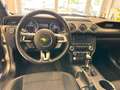 Ford Mustang V6 3.7 316cv Grigio - thumbnail 12