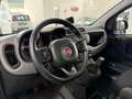 Fiat Panda 1.0 FireFly S&S Hybrid City Life Gris - thumbnail 12