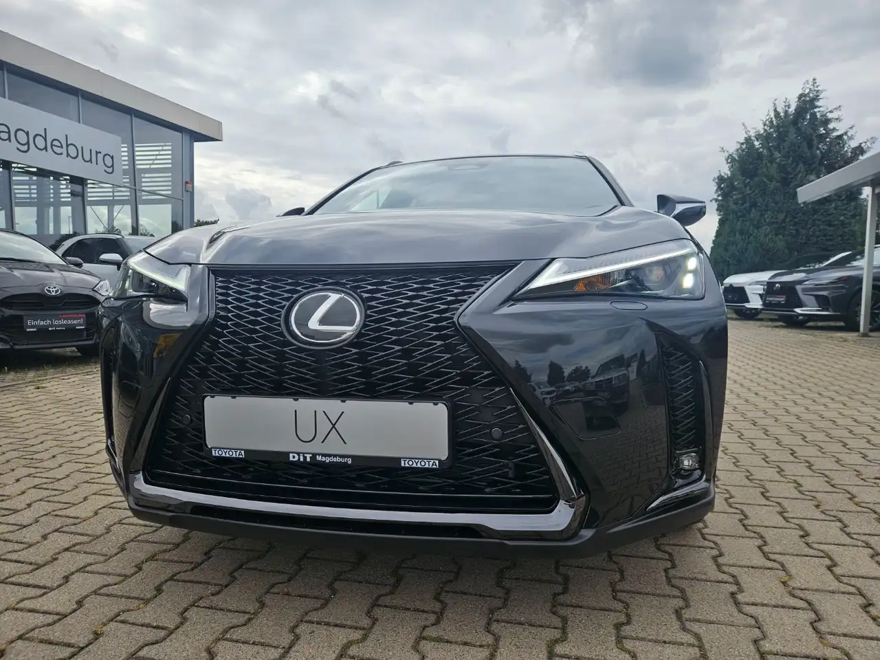 Lexus UX 300h F Sport Design Kamera, SHZ, LED, Navi 3