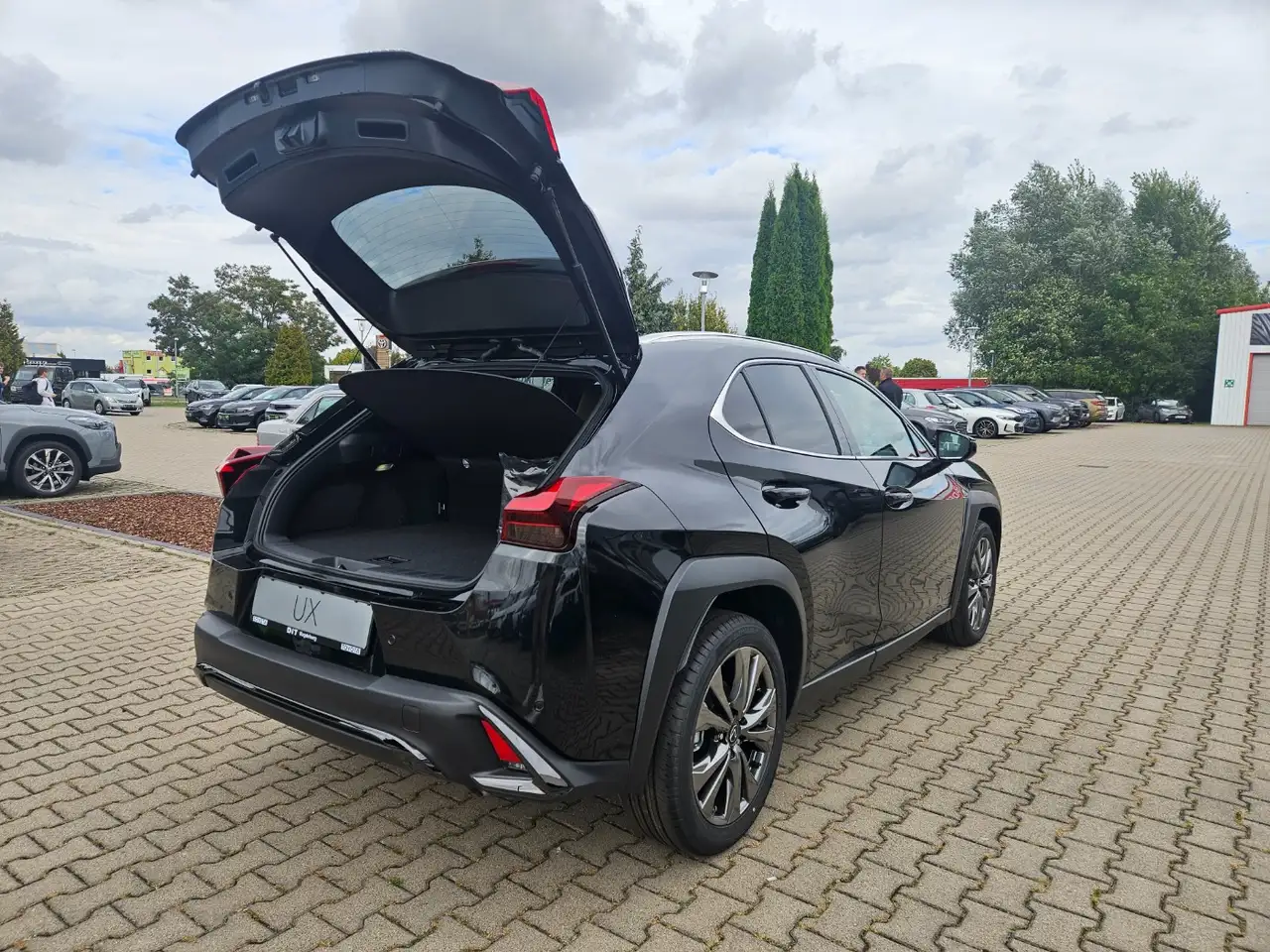 Lexus UX 300h F Sport Design Kamera, SHZ, LED, Navi 9