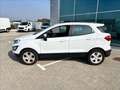 Ford EcoSport 1.0 ecoboost Titanium 100cv my19 Bianco - thumbnail 5
