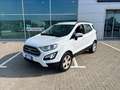 Ford EcoSport 1.0 ecoboost Titanium 100cv my19 Bianco - thumbnail 3