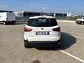 Ford EcoSport 1.0 ecoboost Titanium 100cv my19 Bianco - thumbnail 7