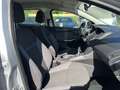 Ford Focus 1.6 TDCi 105CV ECOnetic Trend Argent - thumbnail 10
