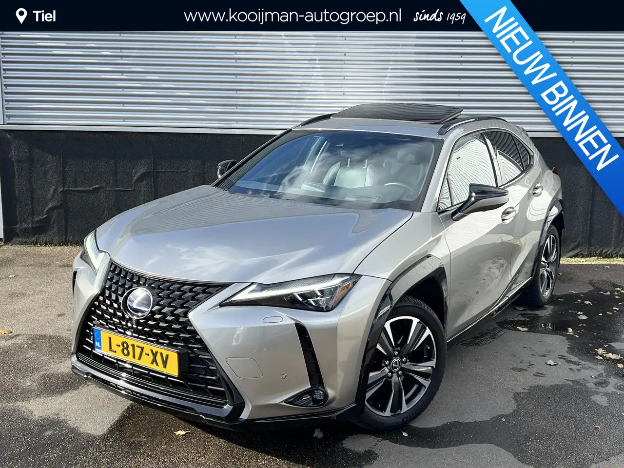 Lexus UX 250h