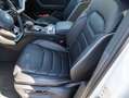 Volkswagen Touareg 3.0 TDI "Elegance" Navi LED Standhzg Pan Alb - thumbnail 12