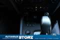 Ford Ranger Limited Doppelkabine 4x4 BLACK EDITION|RAPTOR RÄDE Schwarz - thumbnail 22