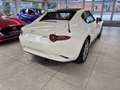 Mazda MX-5 RF Skyactiv 1.5 l 132 PS Hard Top *Kazari* Alb - thumbnail 6