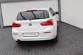 BMW 116 116 i Advantage PDC Navi Sitzh. Leder SD 1.Hd. Weiß - thumbnail 6