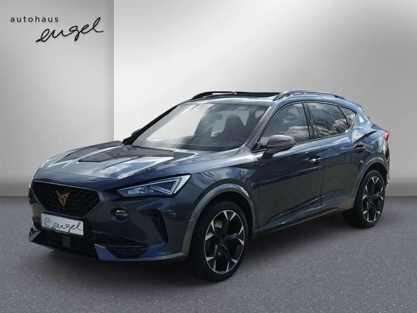 CUPRA Formentor Formentor VZ 2.0TSI 4Drive DSG,PANO,NAVI,LED,AHK Gris - 1