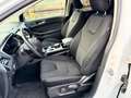 Ford Edge Edge 2.0 ecoblue Titanium s Biały - thumbnail 10