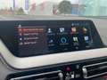 BMW 116 d LiveCockpitPro Stuur+Zetel verwarming LED DAB Gris - thumbnail 9