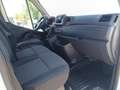 Renault Master Fg. Blue dCi L1H2 3300 T 99kW Blanco - thumbnail 15