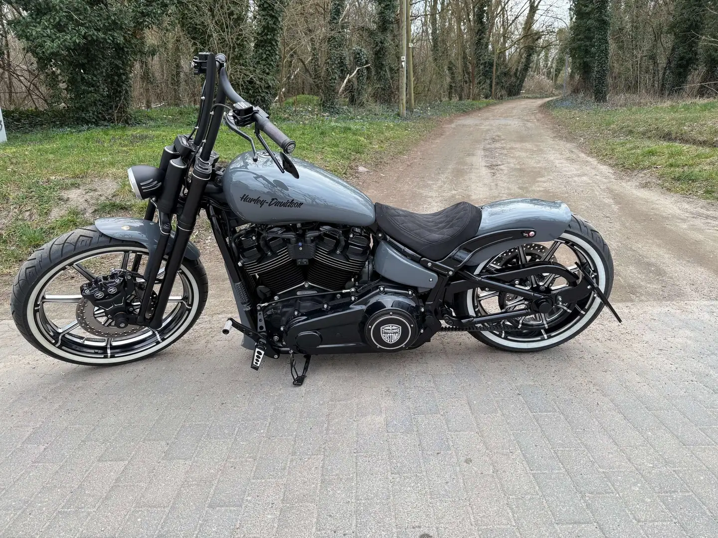 Harley-Davidson Street Bob 107 CI 5HD Euro 4 Gris - 2