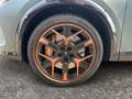CUPRA Formentor VZ Extreme 2.0 TSI 245 kW (333PS) 7-Gang-DSG 4Driv Grau - thumbnail 21