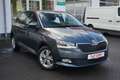 Skoda Fabia 1.0 Ambition Android Apple Tempomat Kamera Gris - thumbnail 3
