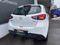 Mazda 2 Mazda2 G75 Emotion Weiß - thumbnail 4