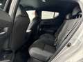 Toyota C-HR 125H Advance Gris - thumbnail 9