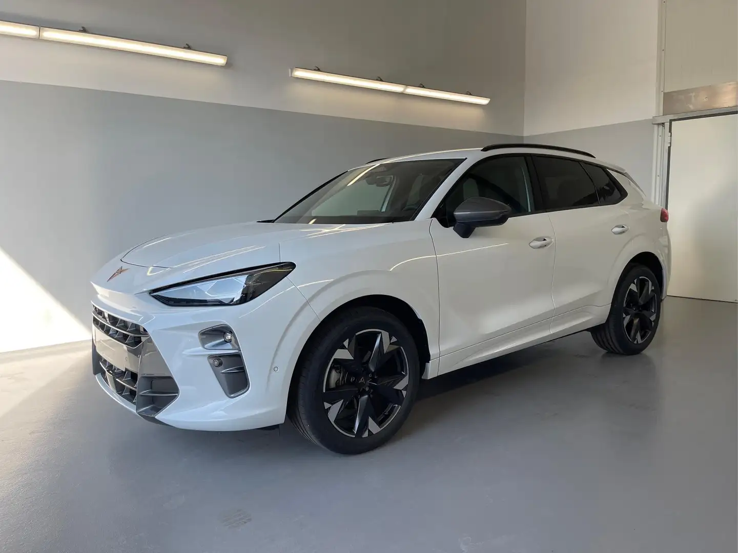 CUPRA Terramar 1.5 eTSI DSG Matrix+Kessy+AHK+HUD+Navi+Dinamica... Weiß - 1