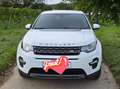 Land Rover Discovery Sport Discovery Sport D150 4WD Aut. SE SE Weiß - thumbnail 2