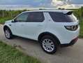 Land Rover Discovery Sport Discovery Sport D150 4WD Aut. SE SE Weiß - thumbnail 3