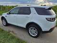 Land Rover Discovery Sport Discovery Sport D150 4WD Aut. SE SE Weiß - thumbnail 7