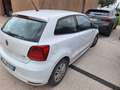 Volkswagen Polo Polo+V+2014+3p+1.4+tdi+Trendline+75cv Bianco - thumbnail 4