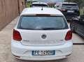 Volkswagen Polo Polo+V+2014+3p+1.4+tdi+Trendline+75cv Bianco - thumbnail 7