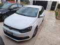 Volkswagen Polo Polo+V+2014+3p+1.4+tdi+Trendline+75cv Bianco - thumbnail 5
